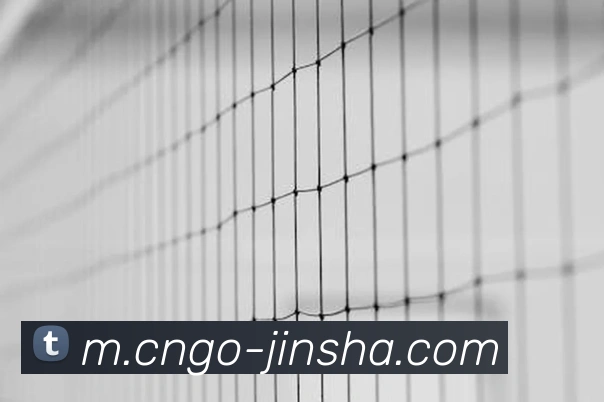 金沙娱乐APP 封面图